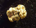 goldnugget6.jpg (367553 Byte)