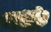 Goldnuggets in Rekordgrösse